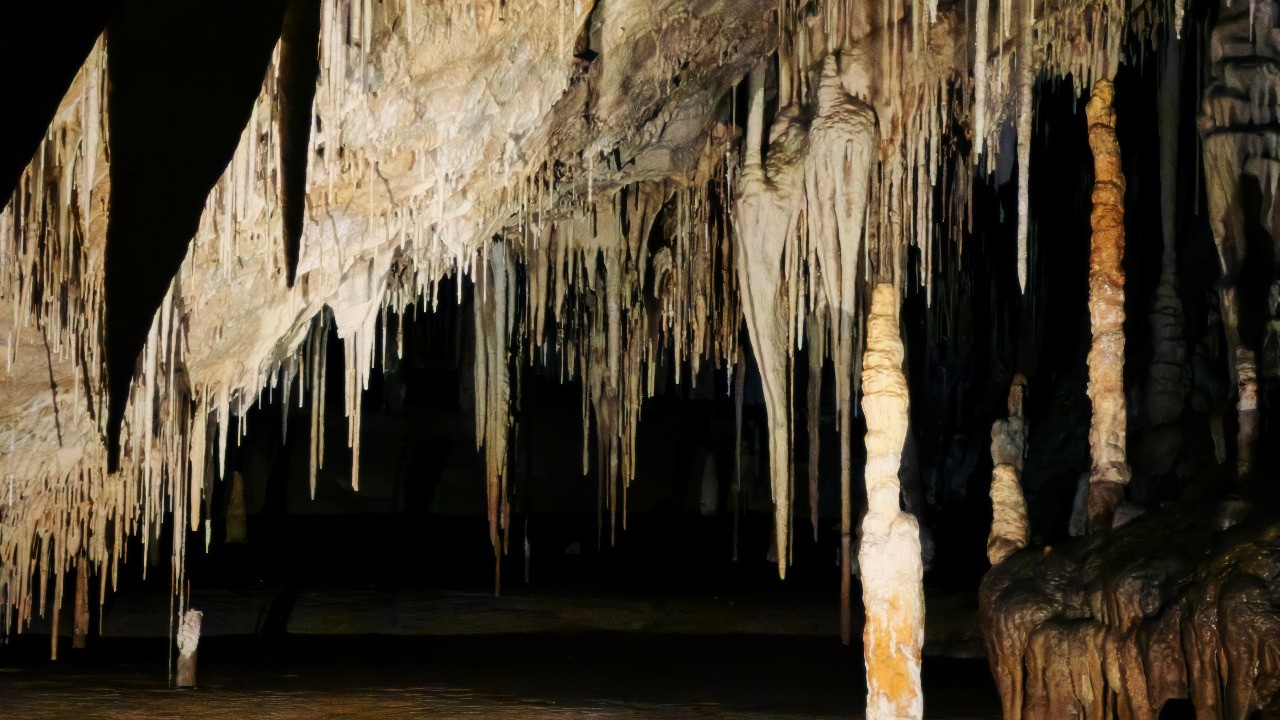 A casual walk on Hasting Caves