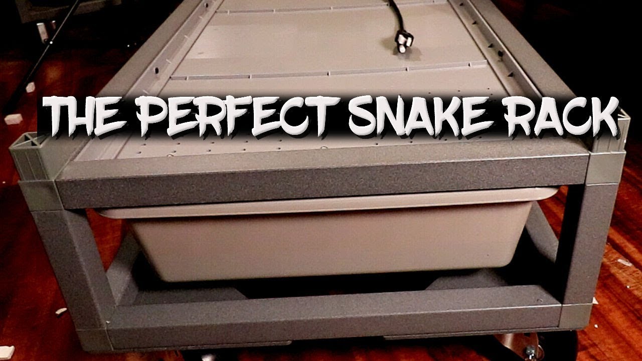 The perfect entry level snake rack, great for quarantine too!
