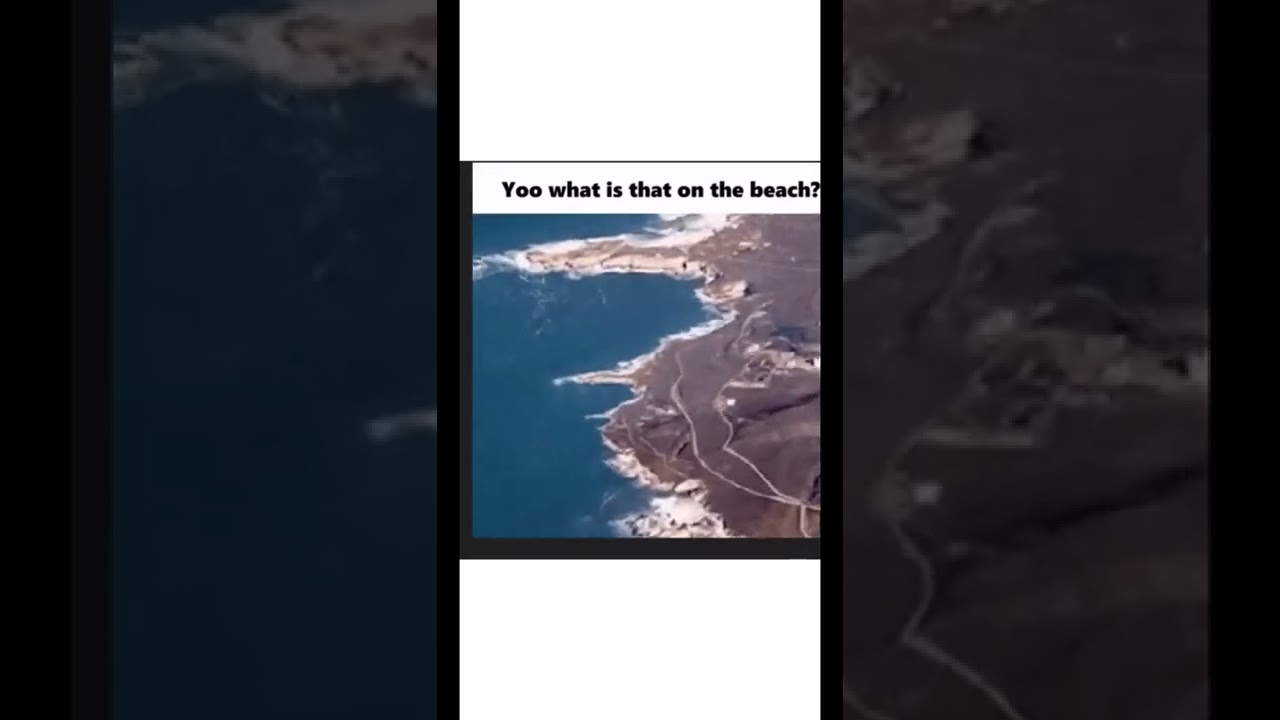 #funny #memes #relatable #lol #subscribe