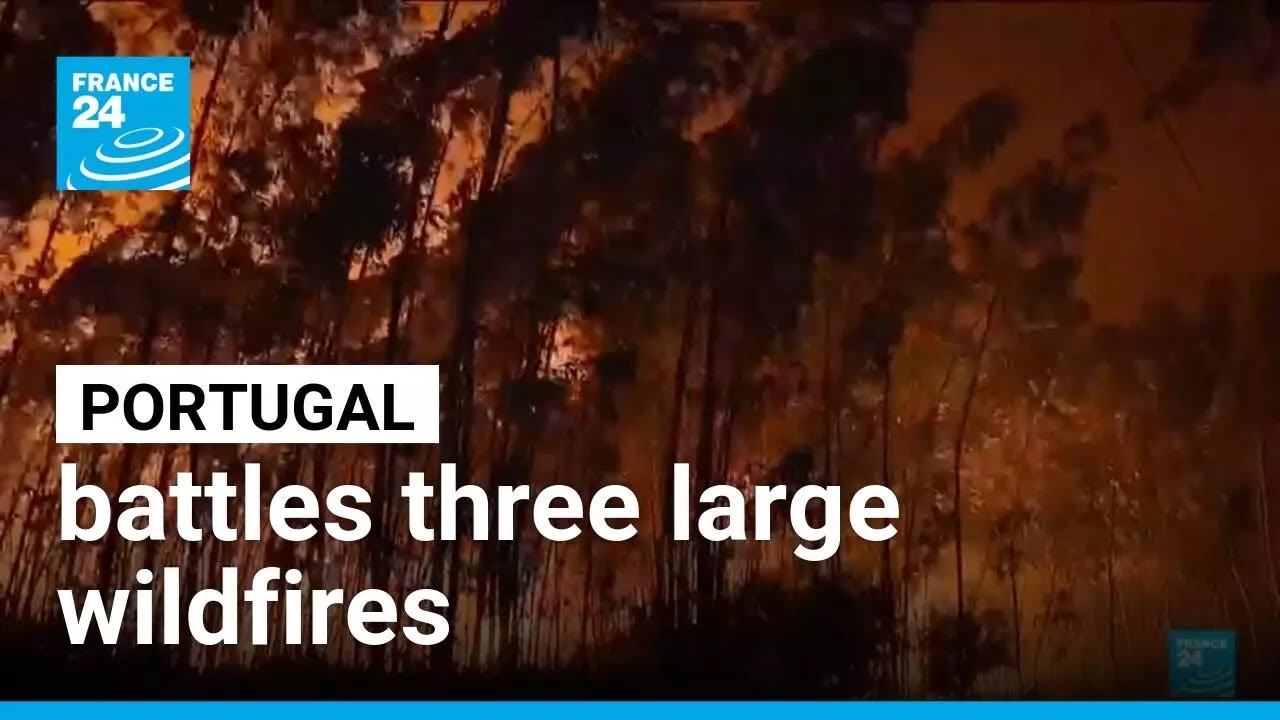 Portugal battles three large wildfires &bull; FRANCE 24 English