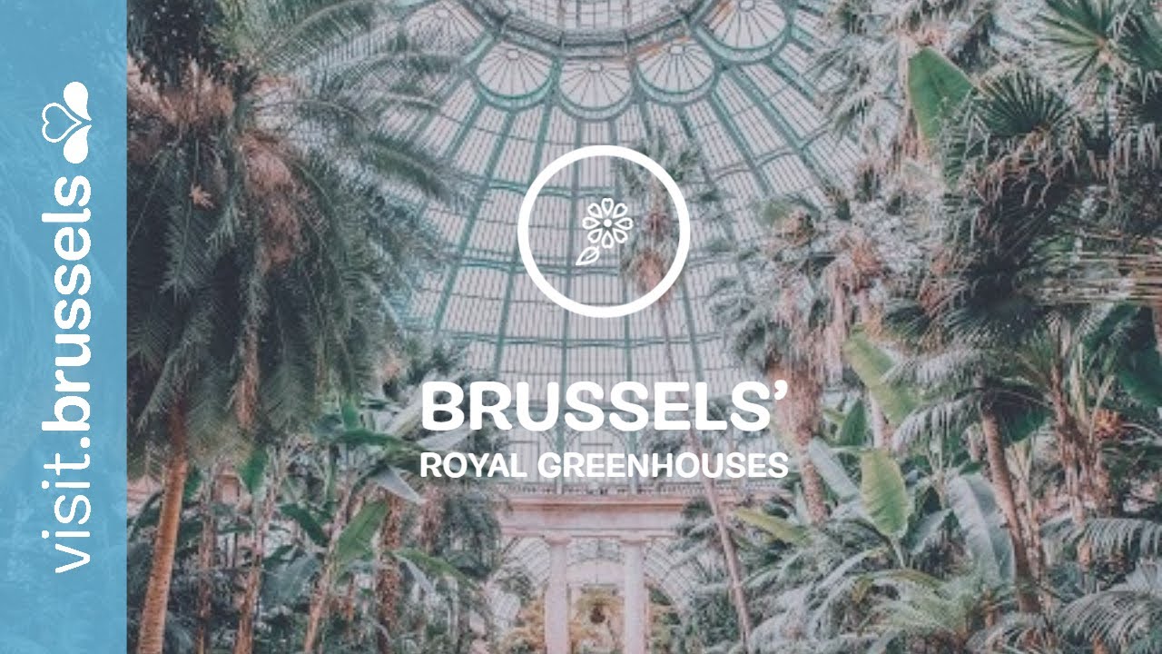 Brussels Royal Greenhouses of Laeken