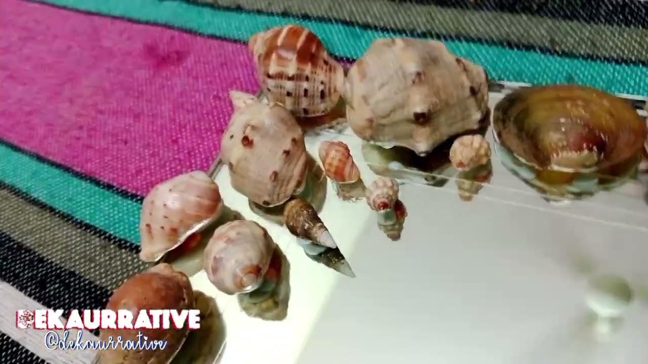 Decorating Bathroom Mirror with Sea Shells 🐚 (part 1) | Dekaurrative 🎨🖌️