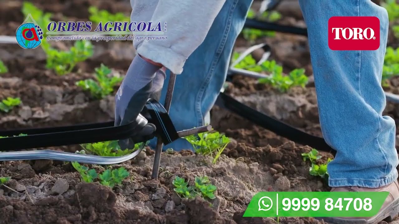 CINTAS DE RIEGO 𝗧𝗢𝗥𝗢 𝗔𝗤𝗨𝗔𝗧𝗥𝗔𝗫 𝗔𝗭𝗨𝗟 - ORBES AGRICOLA