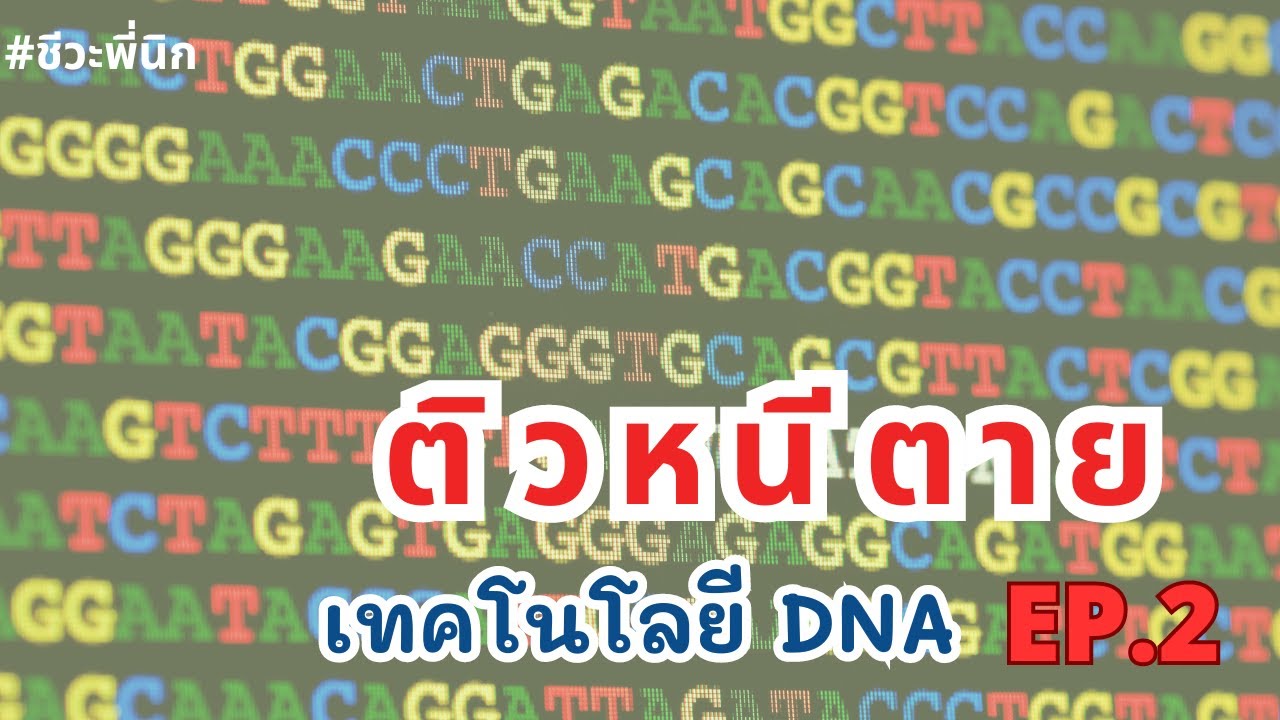 ติวหนีตาย เทคโนโลยี DNA EP2 ชีวะพี่นิก