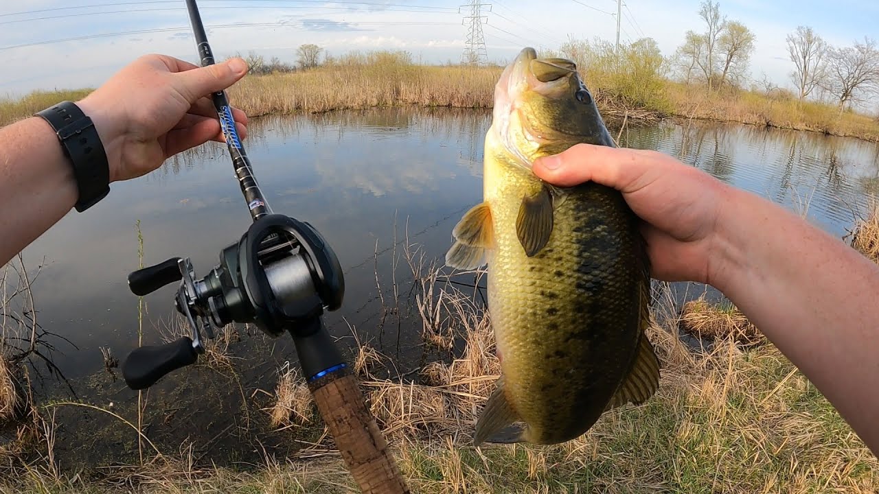 Shimano Curado MGL 150