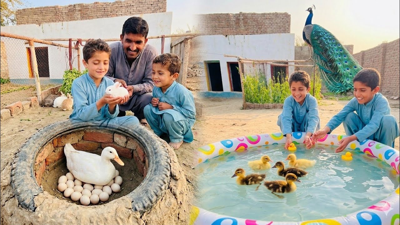 Gabbar Rabbit Baby Cage Sa Bahir La Aya | Rabbits Baby 