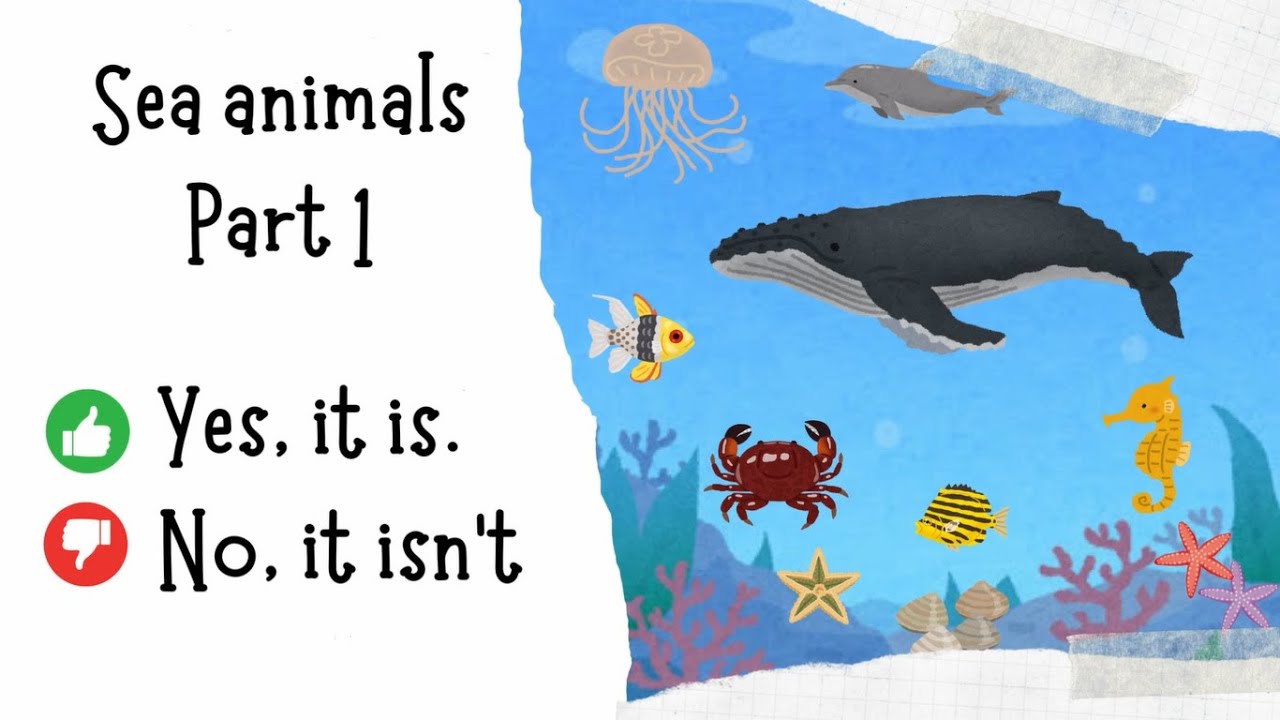 Yes, it is/ No, it isn't / Sea animals Part 1