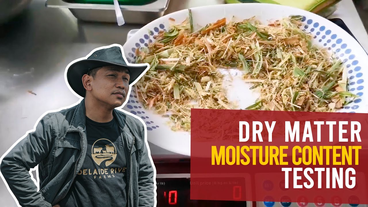 DRY MATTER-MOISTURE CONTENT TESTING