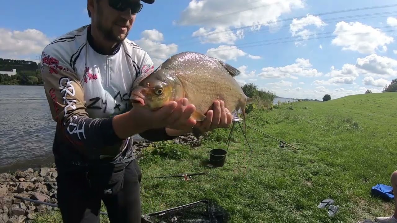 Рыбалка в Германии. Здоровые лещи и полевая кухня! Рыбалка на реке на фидер.