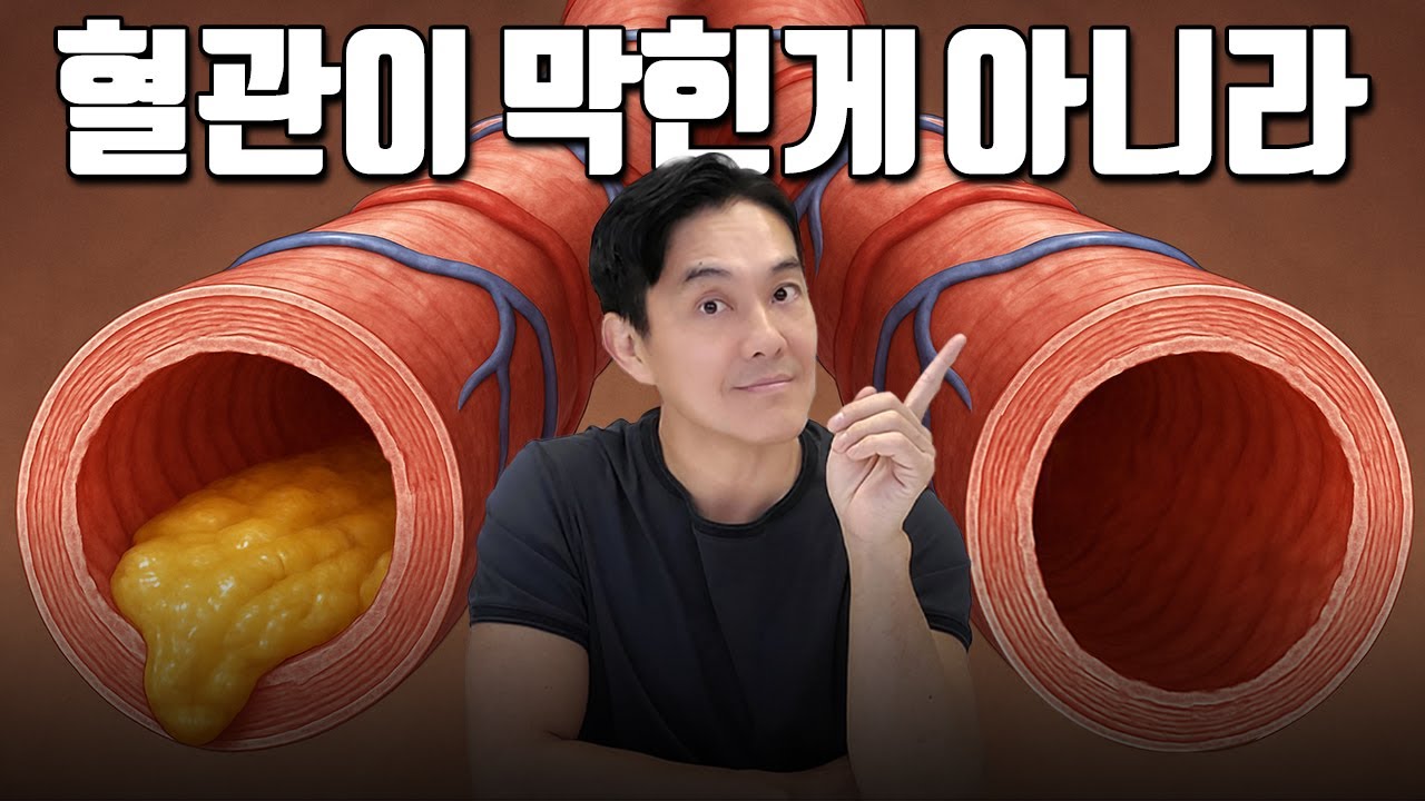 심혈관질환 기초 정리