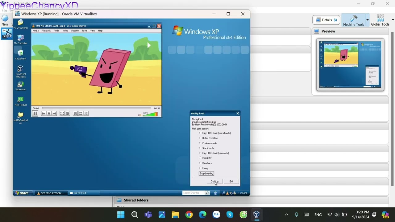 (ALL EARRAPE) Windows XP BSOD Compilation VM