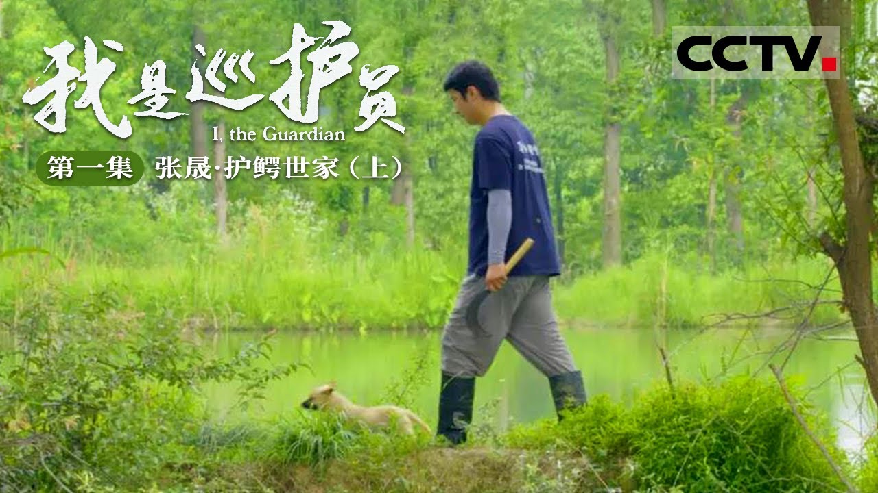 《我是巡护员》第一集 I,the Guardian EP1 护鳄世家：三代人守护野生扬子鳄40年！（上）【CCTV纪录】
