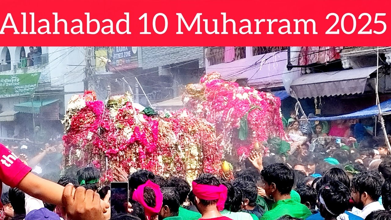 Allahabad 10 Muharram 2025 bada tajiya Chhota tajiya #muharram2025 #allahabad #prayagraj