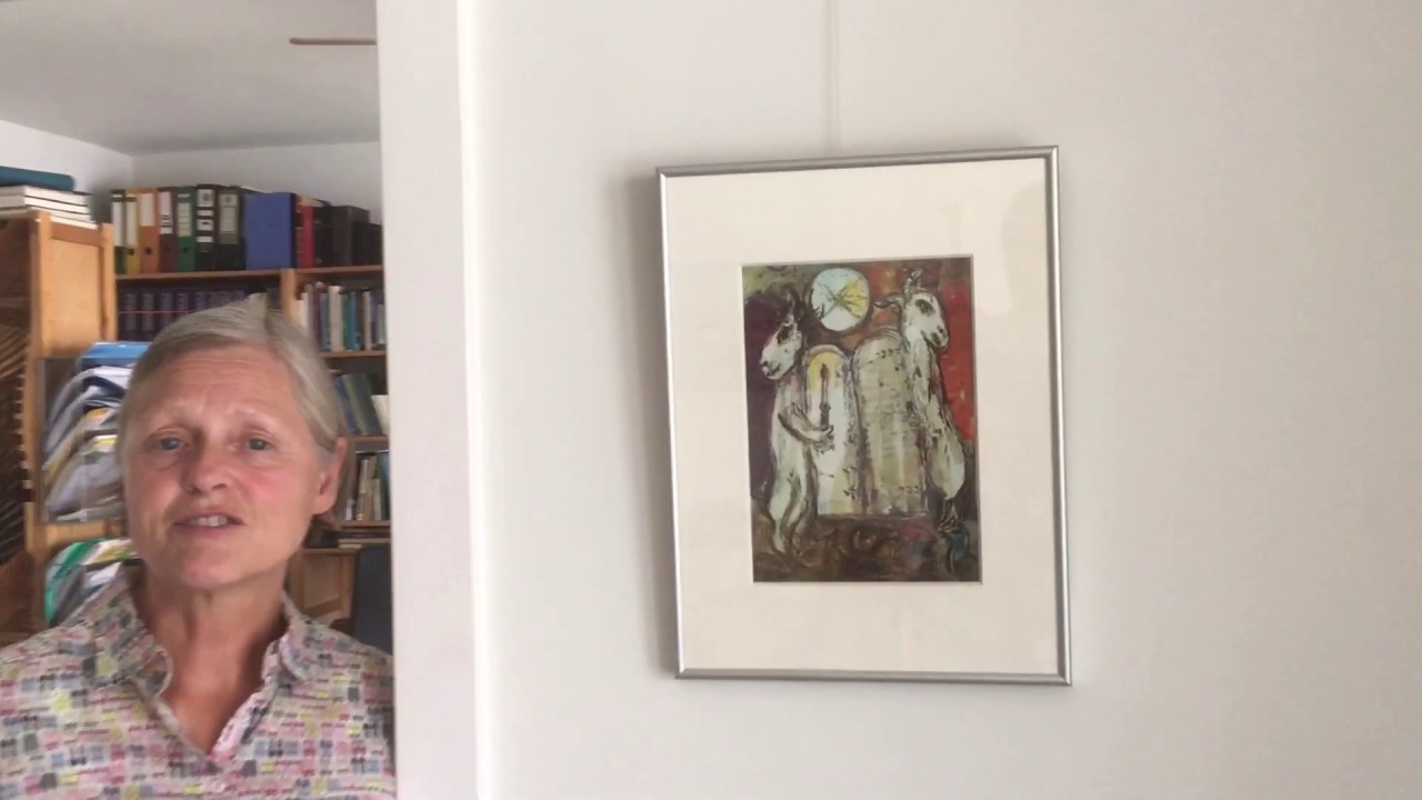 Pinkster vlog ds Scheurwater