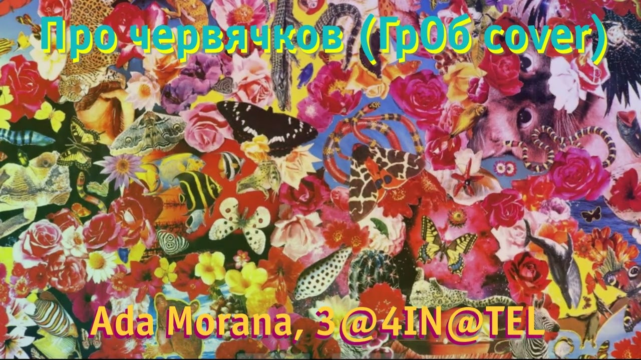 Ada Morana, З@4IN@TEL — Про червячков (ГрОб cover)