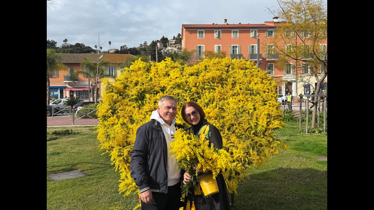 French Riviera: Mimosa & Citrons