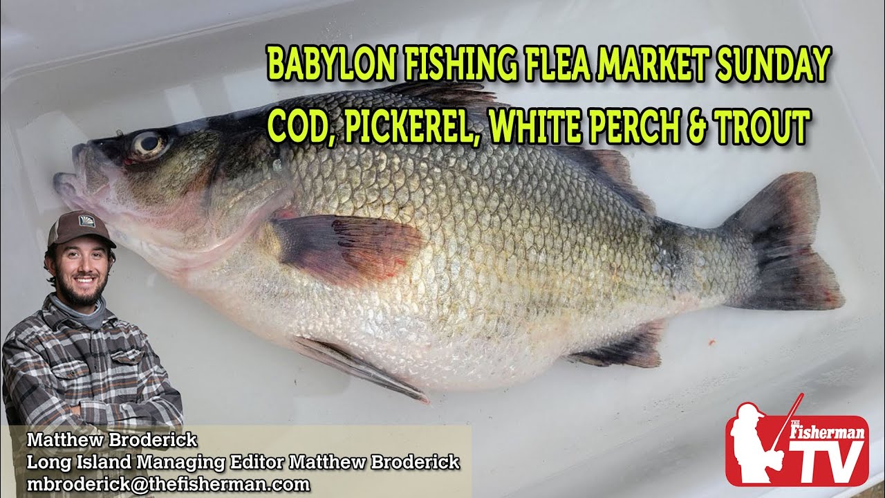 March 16, 2023 Long Island Metro Fishing Report with Matthew Broderick