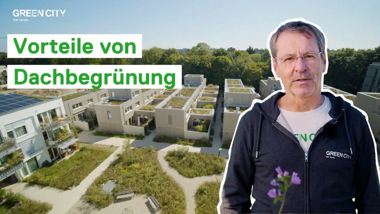 Dachbegrünung lohnt sich! Wir erklären die zahlreichen Vorteile