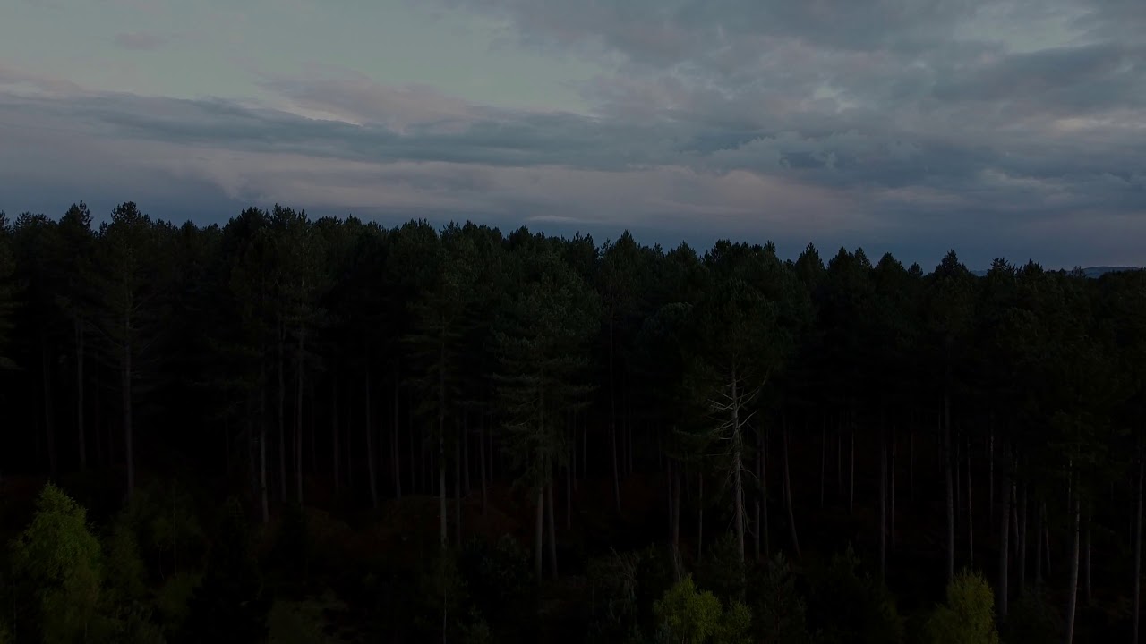 Tayport beach, Tentsmuir forrest mavic mini drone footage