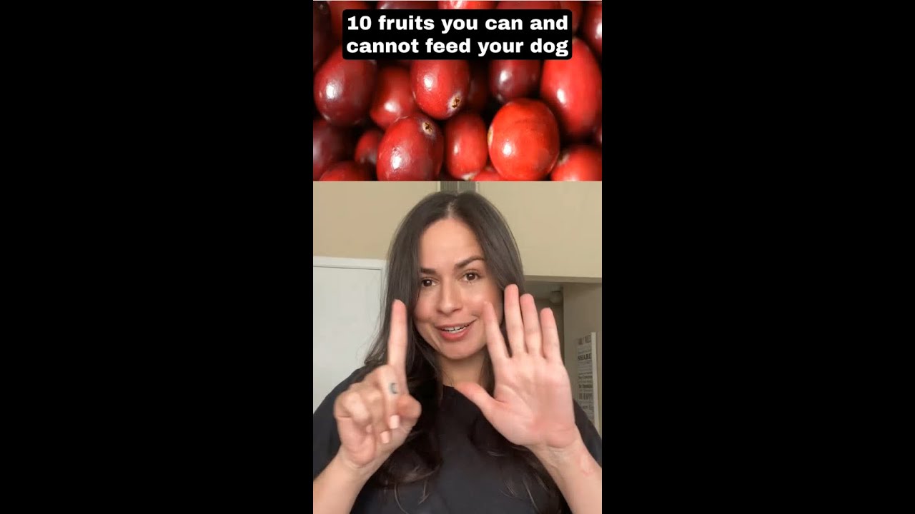 Can dogs eat cranberries? 😮 | Do NOT feed your dog before watching this