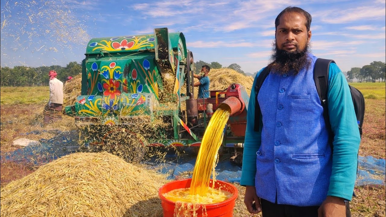 মাঠেই সরিষা মাড়াই ও তেল উৎপাদন | Mustard Harvest to Oil Production in Field