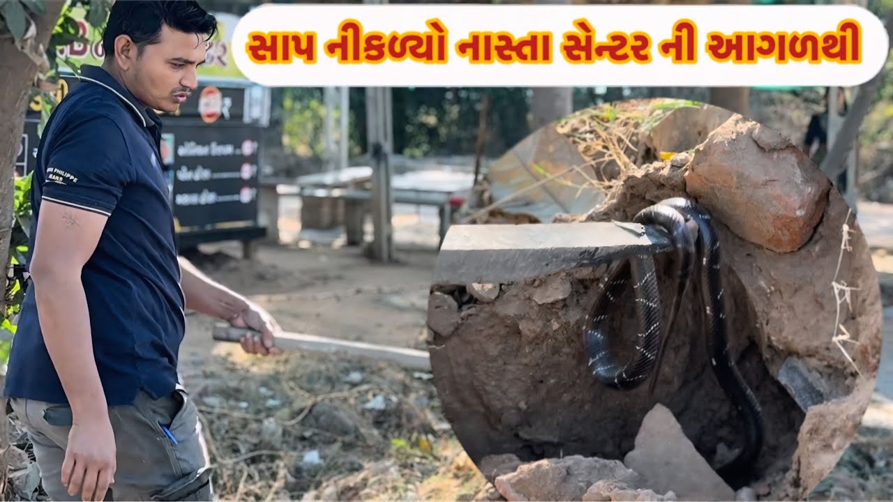 આજે નાસ્તા સેન્ટરે સાપ નીકળ્યો મિત્રો//AB.નાસ્તા સેન્ટર😝