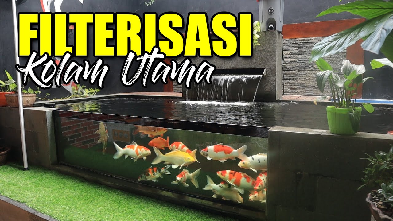 FILTERISASI KOLAM UTAMA !!! TIDAK MAHAL TAPI HASIL MAKSIMAL !!!