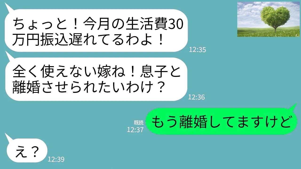【LINE】義母から突然怒りの連絡「今月の生活費30万円振込遅れてるわよ！息子と離婚させるわよ！」私「もう離婚してますけど」→真実を知った義母が真っ青にwww