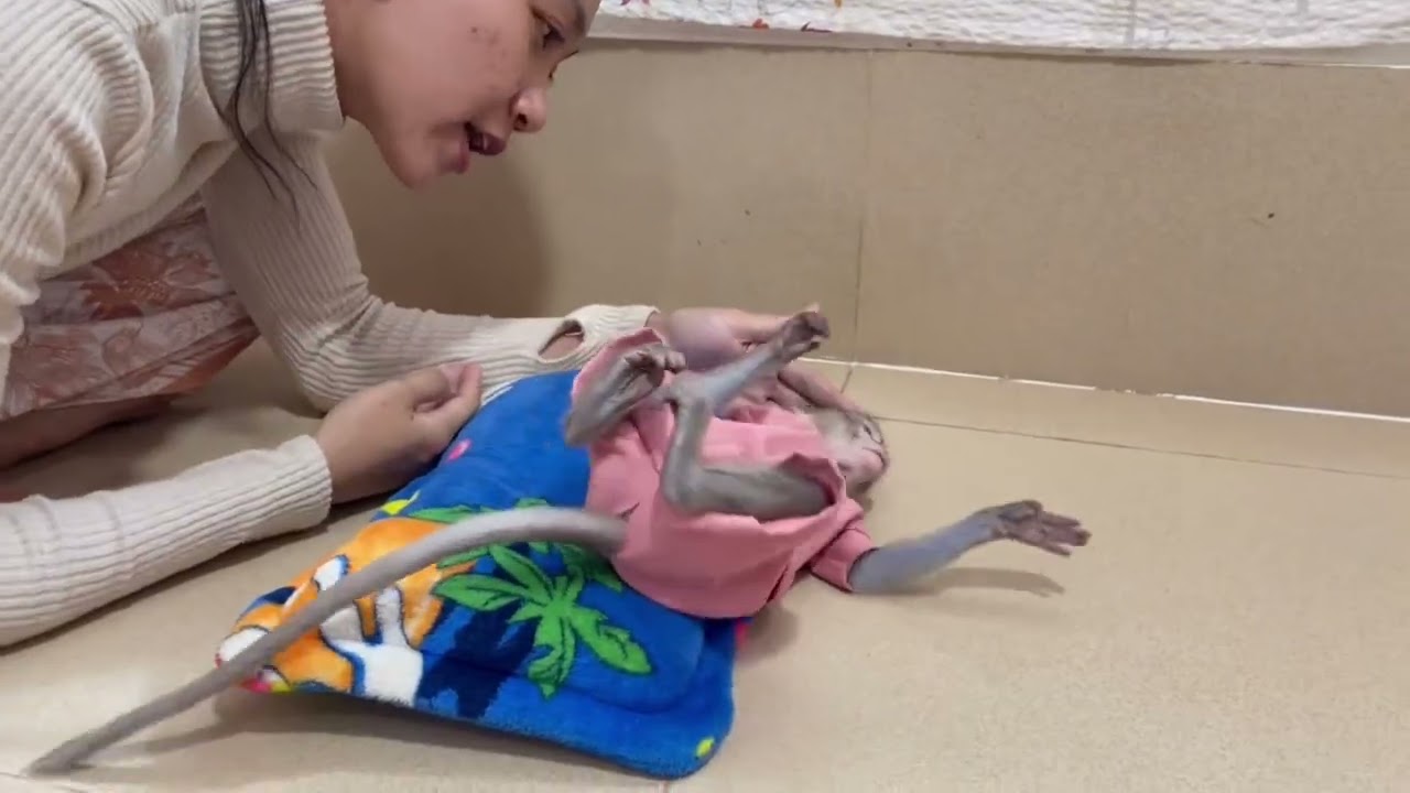 [ Omq..] super Koy in Dramma mo0d & rolling on floor for mom&rsquo;s attention 