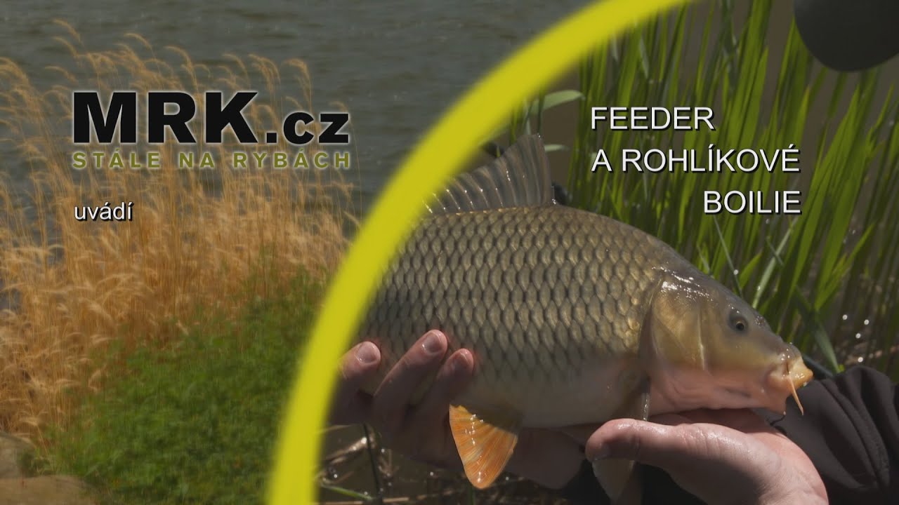 Feeder a rohlíkové boilie