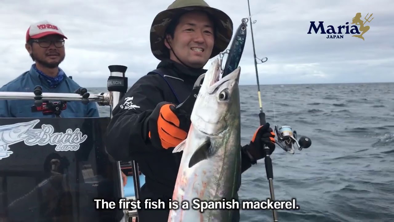 MARIA Rerise Stickbait - longtail tuna in Hervey Bay Australia