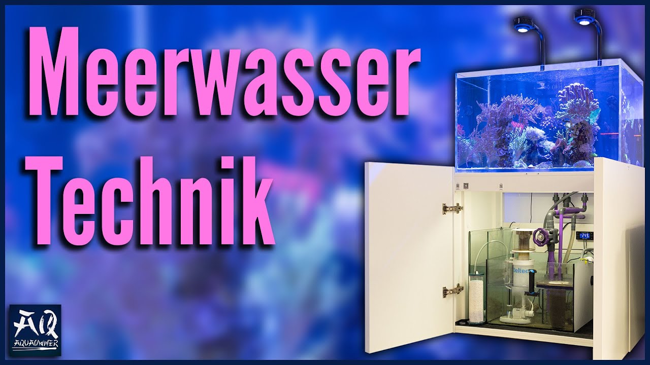 Mein komplettes Meerwasser-Setup erkl&auml;rt | AquaOwner