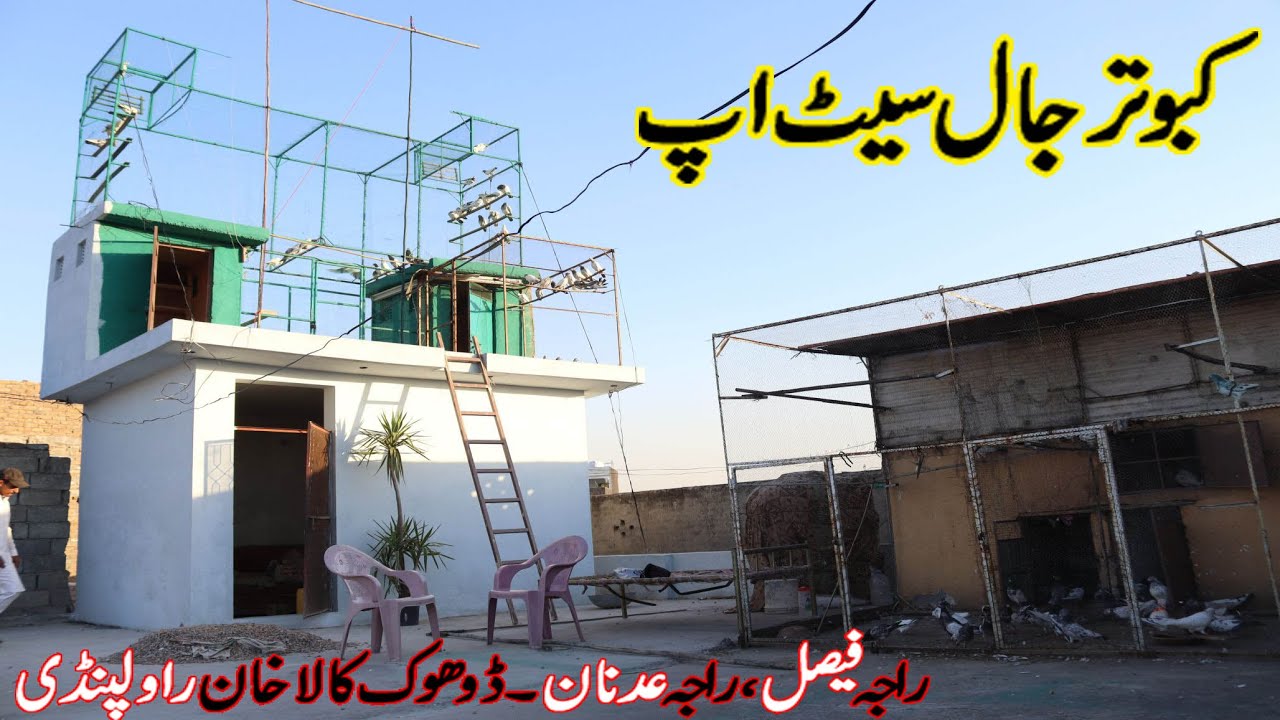 Kabootar Jaal Setup !! Raja Adnan Raja Faisal !! Dhoke Kala Khan Rawalpindi