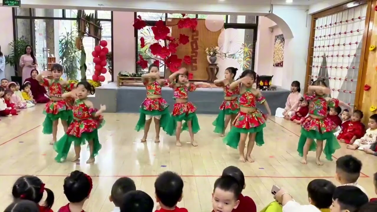 Su Tú Anh Tết 2026 Nobel