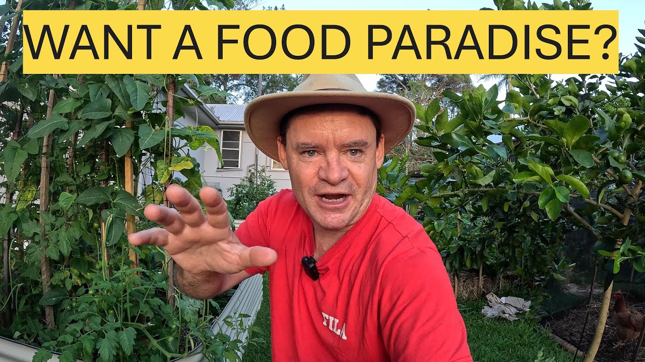 How to Create A Backyard Self Sufficient Food Paradise in Two Years