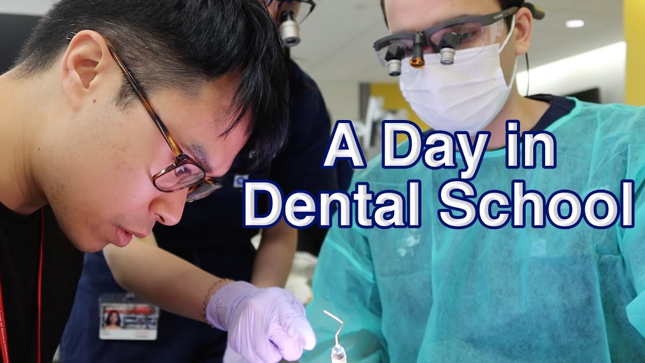 A Day in the Life of a First-Year Dental Student