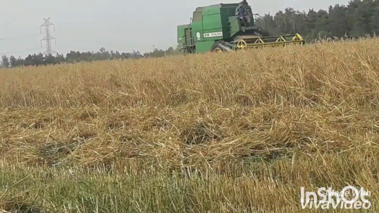 Żniwa 2017 BM VOLVO S900* ZETOR * AFZ