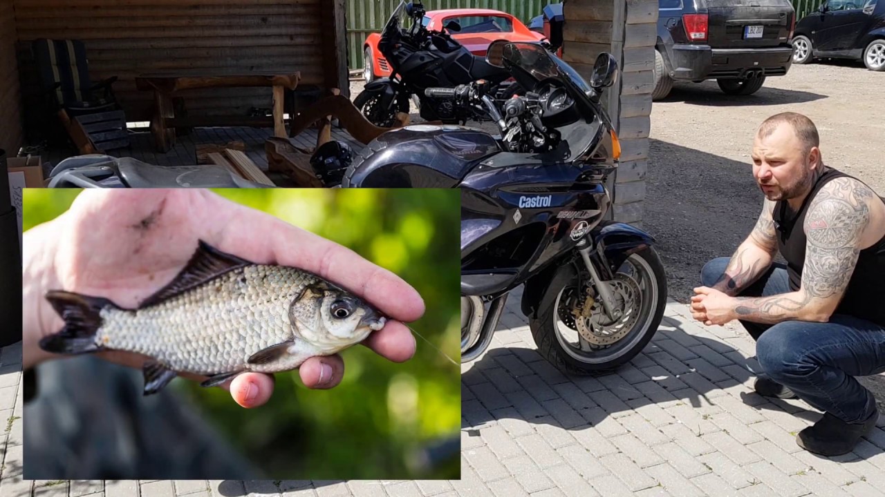 HONDA NTV 650 DEAUVILLE apžvalga (MOTO GURIS)