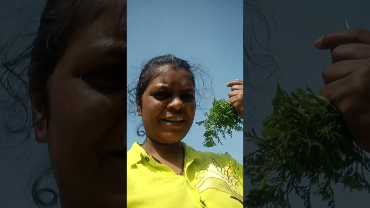 Aaj ka vlogs mere khet ka hai 🤘🏻aap logo Ko acha lage to comment jarur karna and subscribe karna 🙏