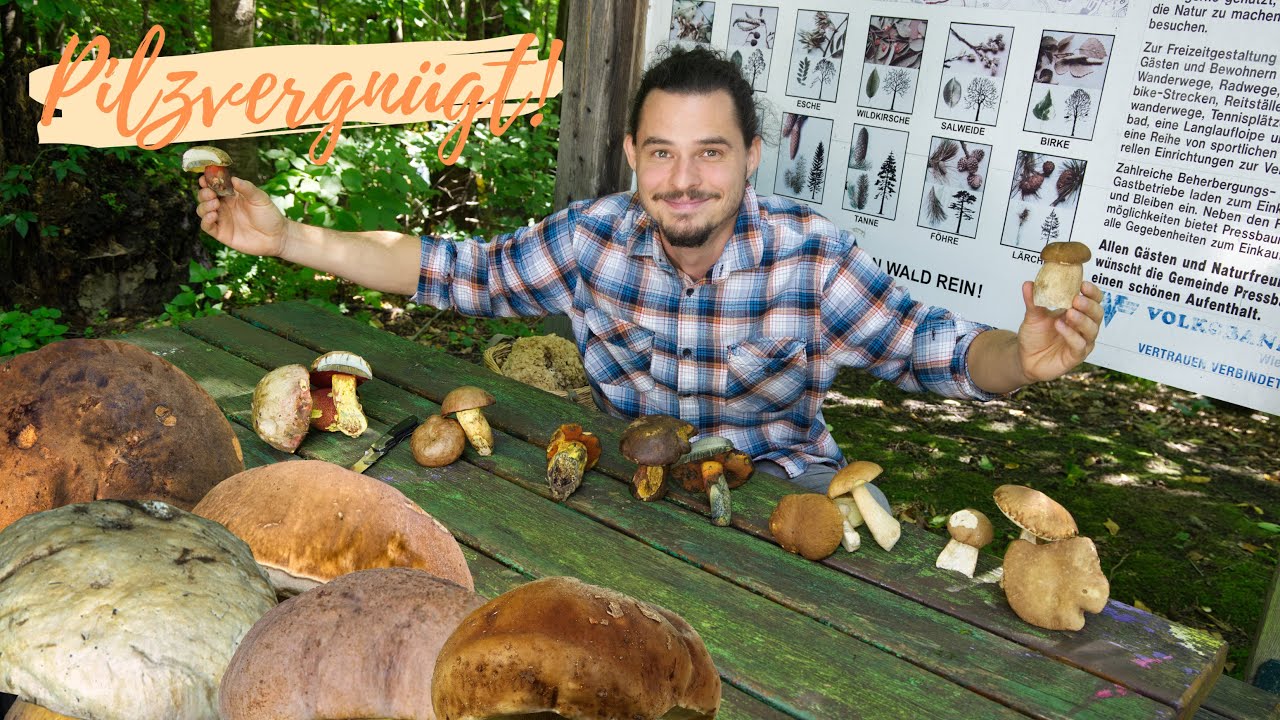 RÖHRLINGE sicher bestimmen 🧐 Verwechslungen vorbeugen und seltene Arten schonen