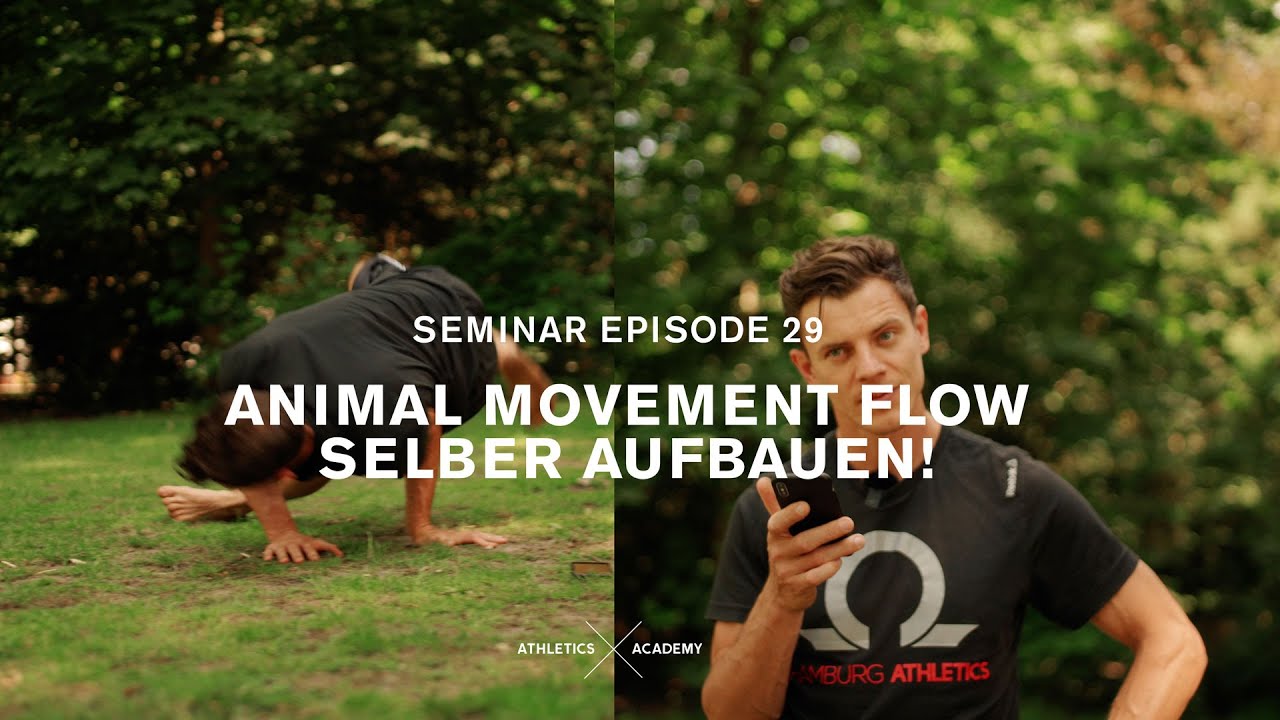Wie bauen wir einen ANIMAL MOVEMENT FLOW alleine auf? Movement Flow Konzept für Bianca!
