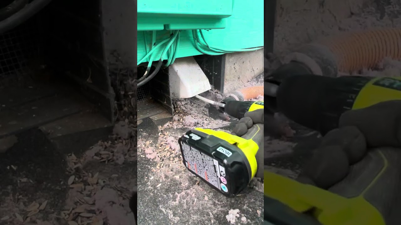 Satisfying dryer vent cleaning, duct full of seeds.