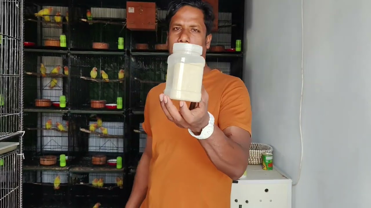 পাখির বুক শুকনা এবং বিভিন্ন রোগ থেকে বাঁচতে হলে করণীয় #pet #birdsmedicine #videoviral #youtube 