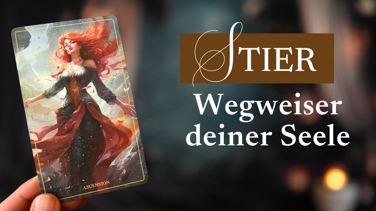 Stier 🌟 Du kannst und wirst mit deiner Berufung erfolgreich sein | Tarot & Orakel #elfenseele