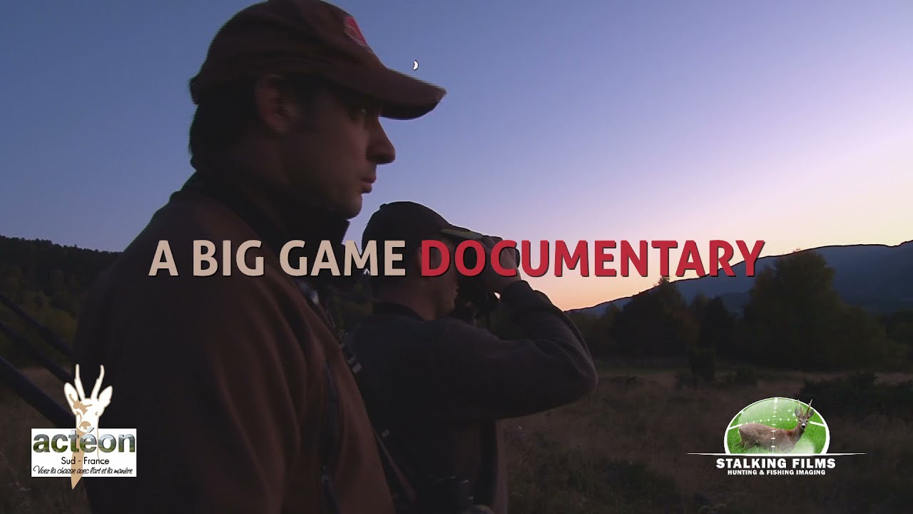 Bande annonce - Le tir au brame, une action incertaine.