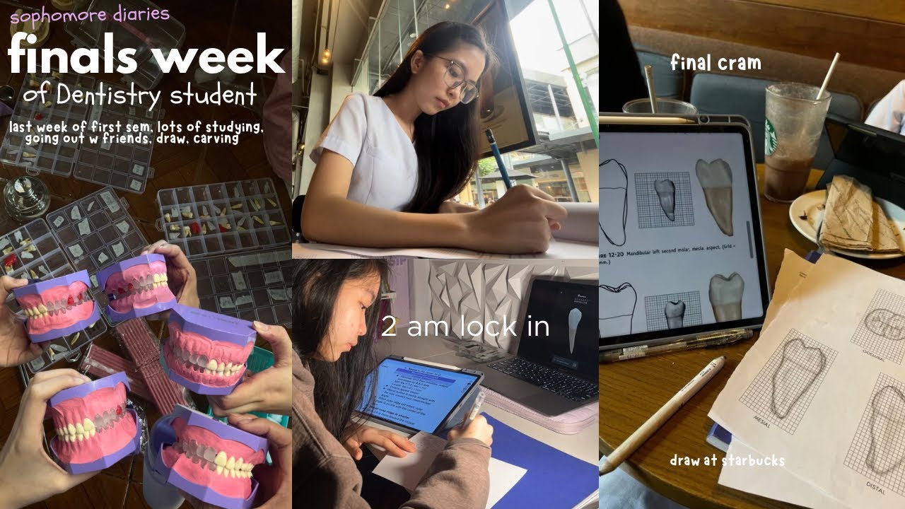 dentistry final season🦷waking up at 2am, hell week, balancing life, last cramming ֶָ֢⊹𐙚