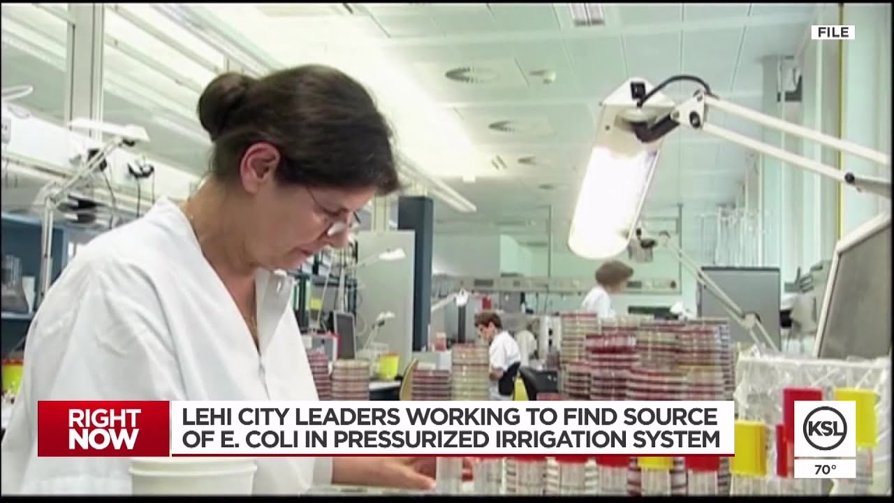 Lehi officials probe E. coli outbreak: grill health department for locations