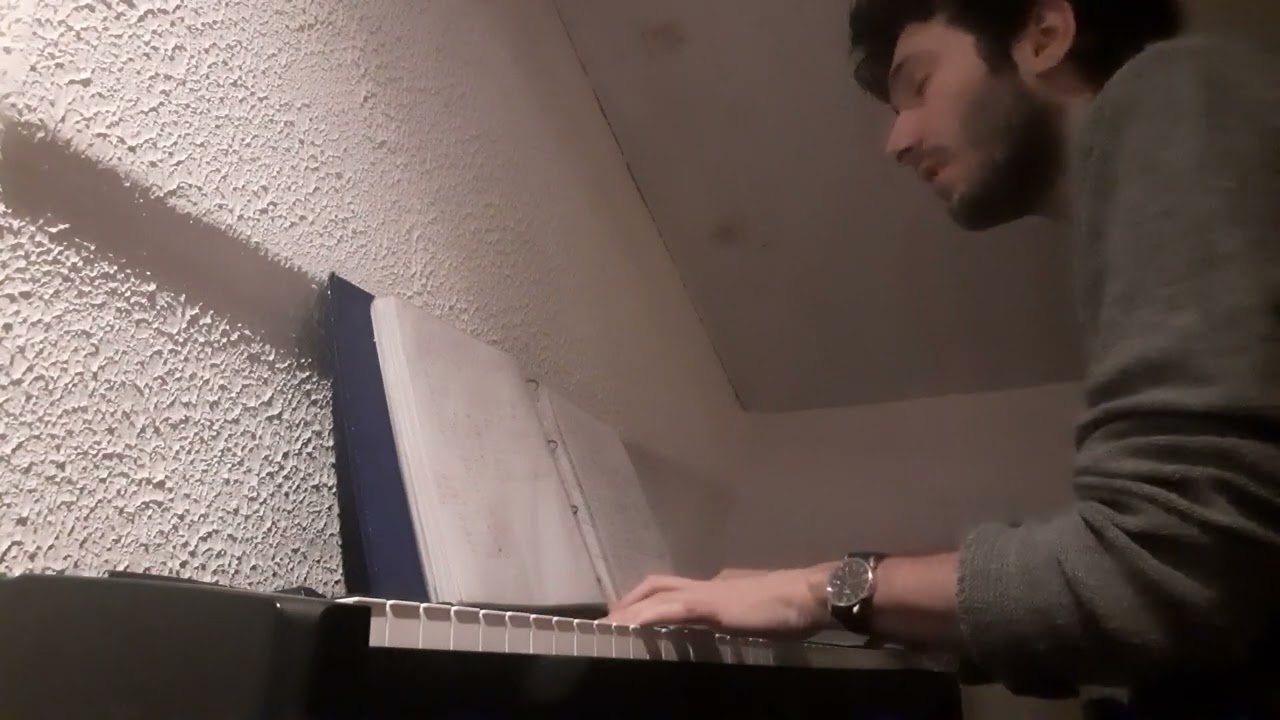 Butchered Tongue - Hozier (cover)