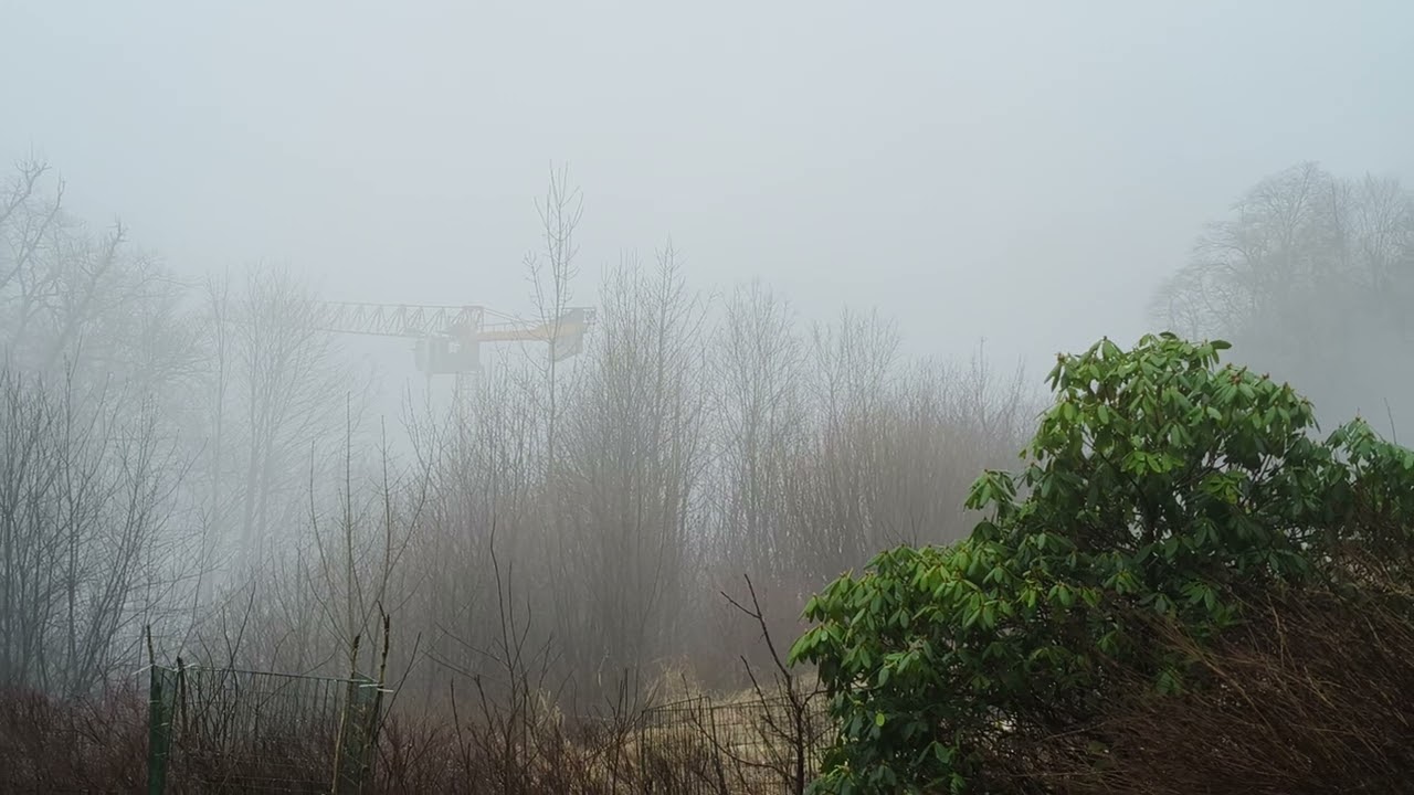 Mystical Magicland | மாய உலகம் @NagercoiltoNorway #norwaytamil #நார்வே #misty #nature #winter #🇳🇴