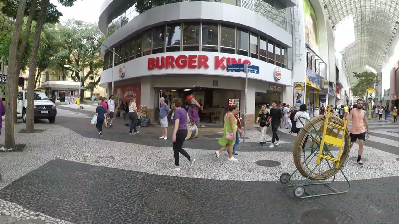 UM PASSEIO PELO CAL&Ccedil;AD&Atilde;O OLIVEIRA LIMA - SANTO ANDR&Eacute;